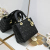 DIO* Five-grid Diana bag