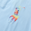 Ralph Laur* Colorful Embroidered Polo Shirt