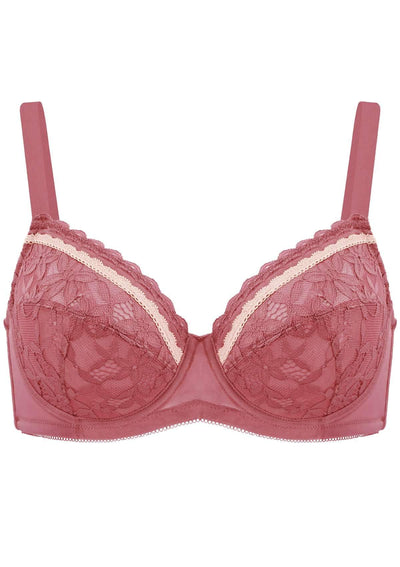 Jessamine Contrast Color Lace Underwire Bra Bundle