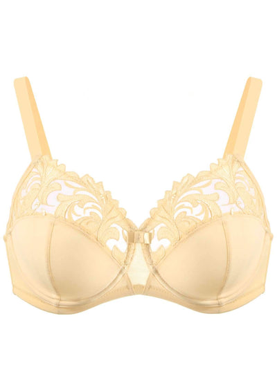HSIA Embroidered Underwire Bra
