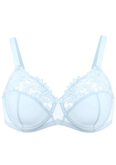 HSIA Embroidered Underwire Bra