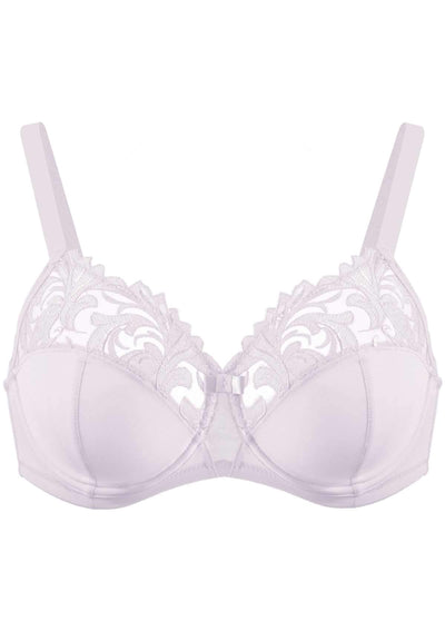 HSIA Embroidered Underwire Bra