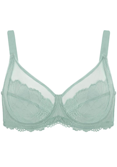 Hyacinth Underwire Minimizer Bra Bundle
